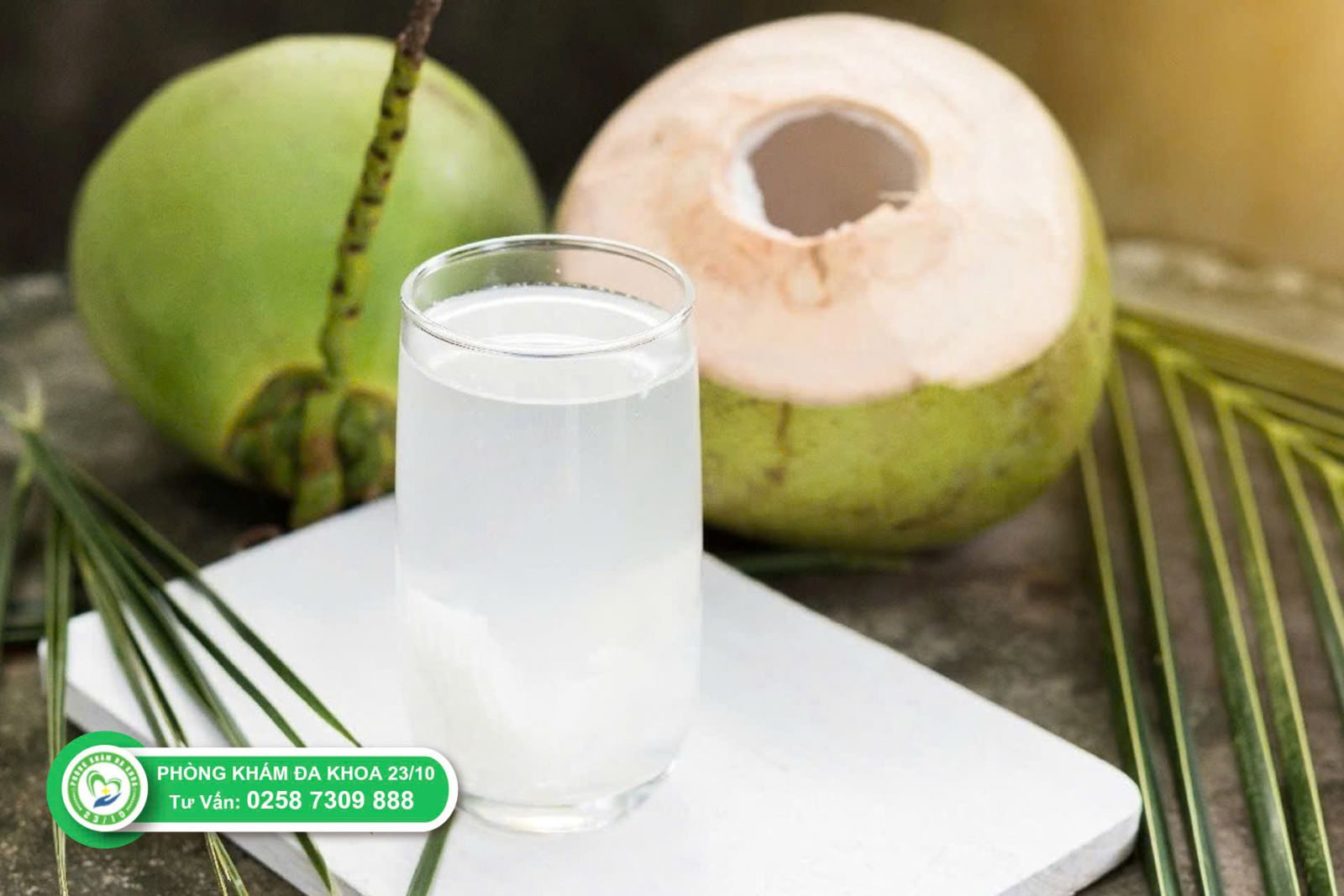 Đình chỉ thai bằng nước dừa